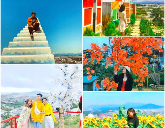 Sunny Farm – Thiên đường sống ảo của giới trẻ khi đi du lịch Đà Lạt